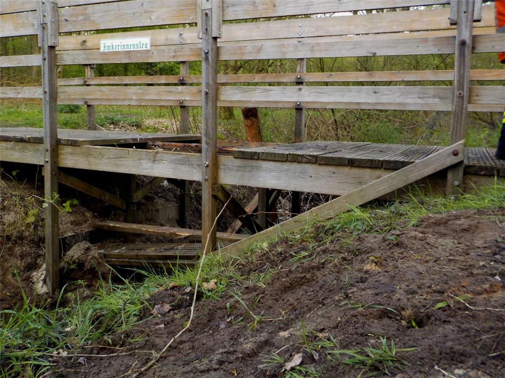 Fotos der Pferde-Rettungsaktion am Apeler See.