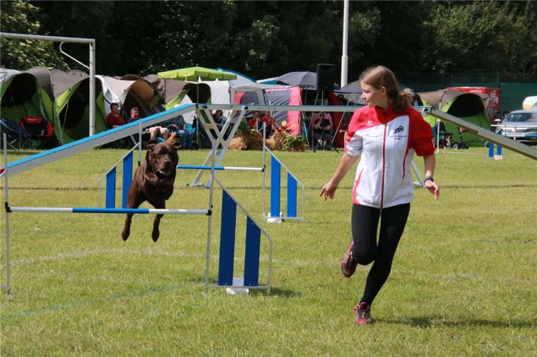 Die schönsten Momente vom Nordsee-Turnier im Hundesport Agility (Bildergalerie) Frauchen muss beim Agility im gleichen Tempo mitlaufen wie der Hund.