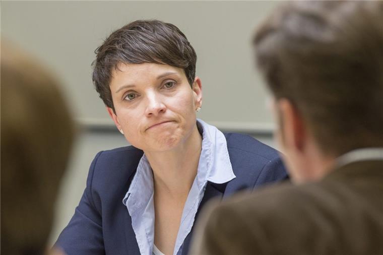 AfD-Chefin Petry soll Fraktionsgelder abgezweigt haben Frauke Petry steht im Verdacht, Fraktionsgelder missbraucht zu haben.