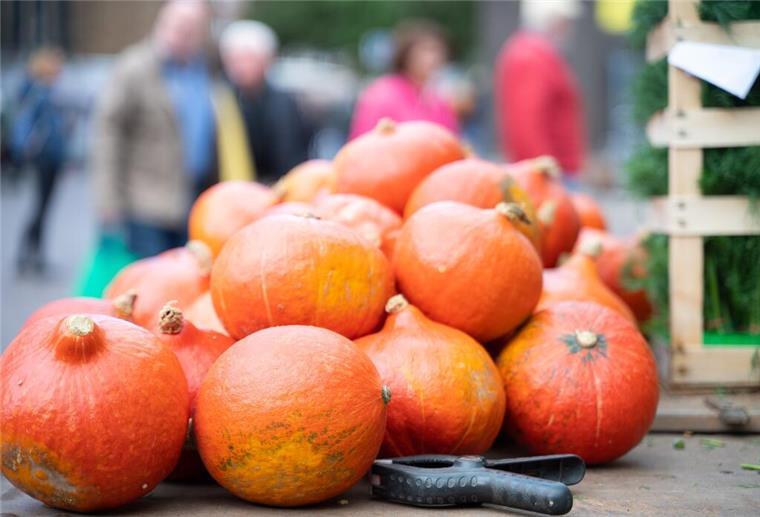 Bunter Herbstmarkt: 100.000 Besucher und bunte Aktionen erwartet Freut euch auf Handwerkskunst, Ernteaktionen und viele Stände.