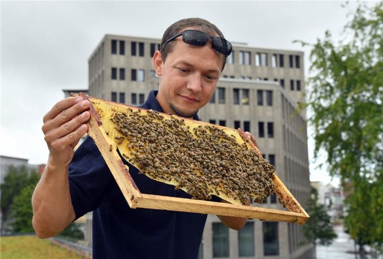 Bienenvölker angesiedelt: Geestemünde hat 240.000 Neubürger Freut sich für die Bienen über ihr neues Zuhause in Geestemünde: Stadtimker Andreas Bredehorn