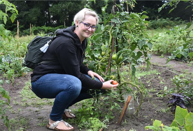 Sittensen: Bio-Gemüse vom Mietbeet aus dem Klostergut-Garten Das Foto zeigt Friederike Schiewe in in ihrem Miet-Beet.