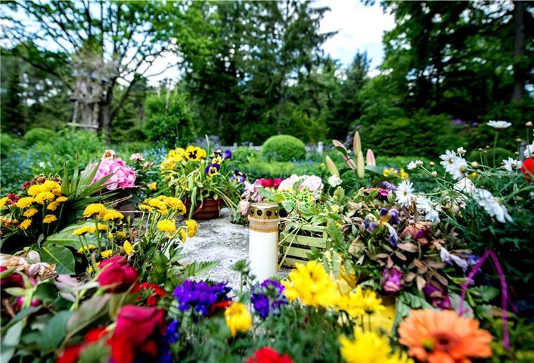 Zeven: Wenn Friedhöfe zum Paradies für Insekten und Vögel werden Eine Grableuchte und Blumen liegen auf einem Mühlstein in einem Gräberfeld auf dem Waldfriedhof
