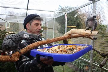 Frisches Bio-Obst und Quellfutter: Michael Habermann tischt den Papageien ein Frühstück erster Güte auf.  Foto Gehrke