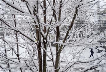 Teile des Nordostens der USA sind von einem Schneesturm heimgesucht worden. Auch der Bundesstaat Rhode Island ist betroffen, hier die Hauptstadt Providence. Foto: David Goldman/AP/dpa