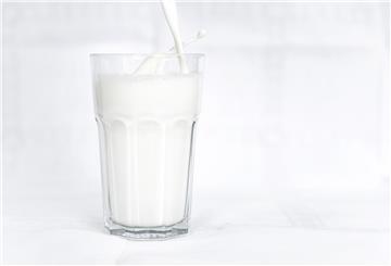 Früher war klar: «Milch» meint Kuhmilch. Das ist in Deutschland heute anders. Pflanzliche Milch-Alternativen zum Beispiel aus Hafer boomen. Der Verbrauch von Kuhmilch sinkt.