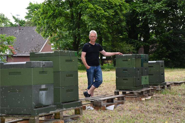 Fünf der sechs wiedergefundenen Kästen mit Bienen hat Jürgen Meyer im Flögelner Pfarrgarten aufgestellt.