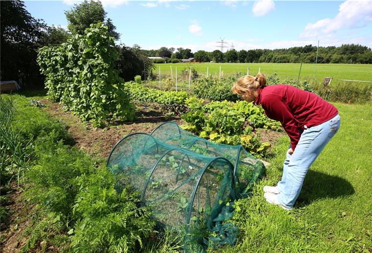 Bremerhavener Gemüsegarten wird zum Öko-Hof Für Britta Köster ist der Gemüsegarten das Herzstück des Betriebs.