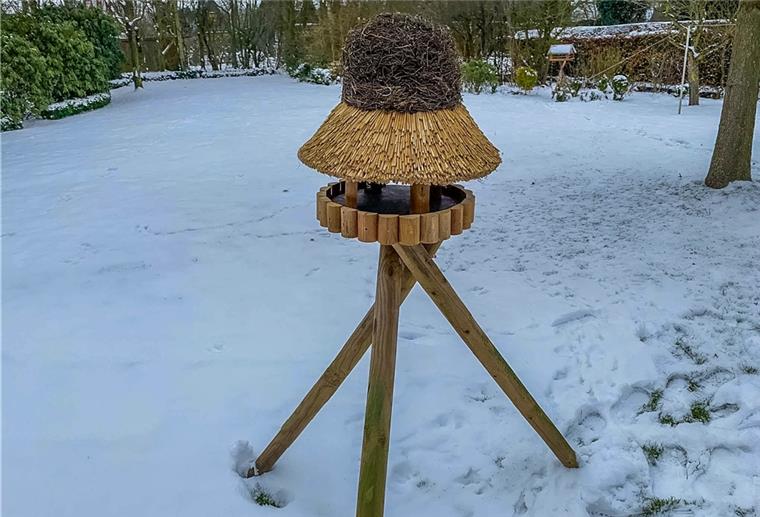 Butjadingen: Versteigerung eines Vogelhauses geht durch die Decke Für das selbst gemachte Vogelhaus von Heino Timmer wurden bislang 555 Euro geboten.