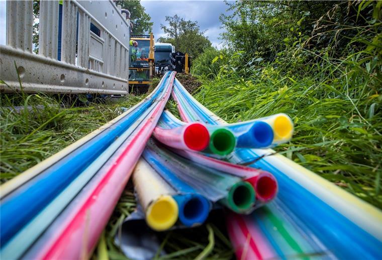Wie Beverstedt Glasfaser für alle Bürger ermöglichen will Internetkabel auf dem Rasen