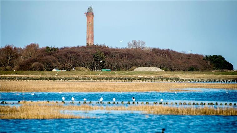 Amprion erkundet Wattenmeerboden für Seekabel Für die Anbindung der Offshore-Windparks unterqueren Stromkabel die Insel Norderney. (Archivbild)