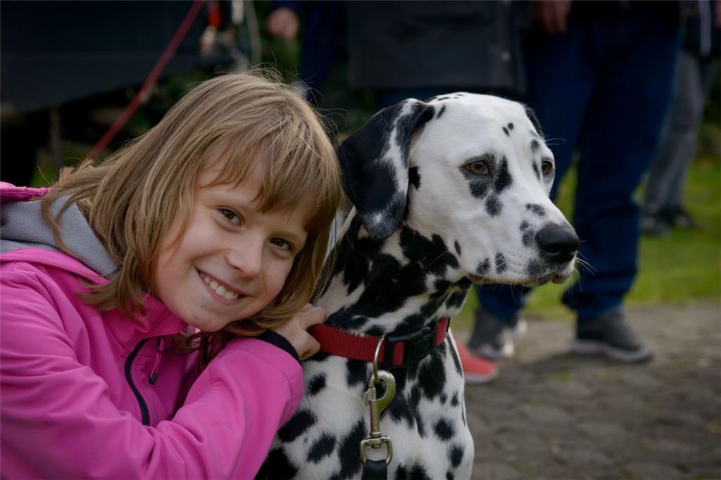 Für die Hundebesitzer ist klar, dass der eigene Hund der schönste ist. So geht e...
