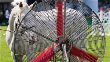 Für die Kühlung der Pferde gibt es beim CHIO Ventilatoren. 