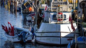 Für die Ostseefischer gibt es wegen der schlechten Entwicklung der Bestände im kommenden Jahr wohl nur wenig zu fangen (Archivbild).