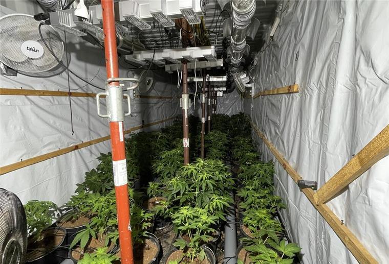 Für die Plantage wurden zwei gestohlene Hafen-Container komplett vergraben.