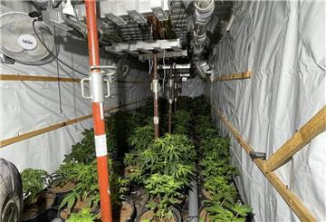 Für die Plantage wurden zwei gestohlene Hafen-Container komplett vergraben.