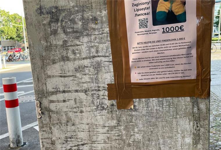 Teddy verzweifelt gesucht: 1.000 Euro für „Mini“ ausgesetzt Für ihn sei der Verlust sehr schlimm, sagte Erlenbauer der Deutschen Presse-Agentur.
