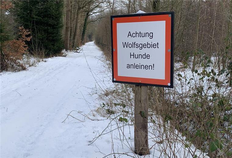 Achtung Wolfsgebiet! Diese Warnschilder schockieren Spaziergänger - nur Panikmache? Ein Schild ist an einem verschneiten Weg zu sehen.