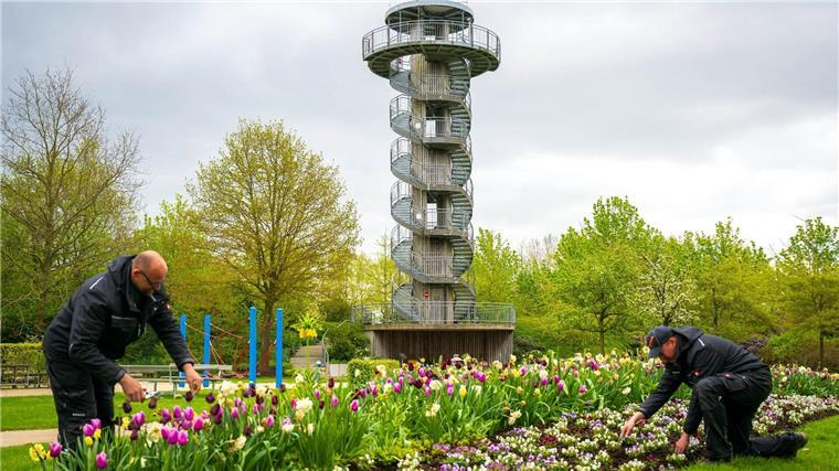 Gärtner bereiten den Saisonstart im Park der Gärten vor.