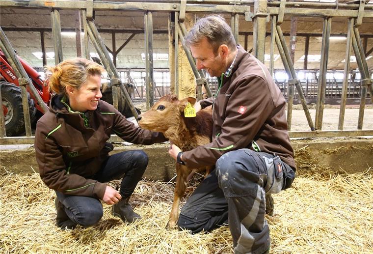 Auf Hof Seeverns gibts für Kälber Muttermilch Ganz geheuer ist dem Nachwuchs die Aufmerksamkeit noch nicht. Maike Harbers-Bahr und Jan Dierk Harbers mit einem ein paar Tage alten Kälbchen.