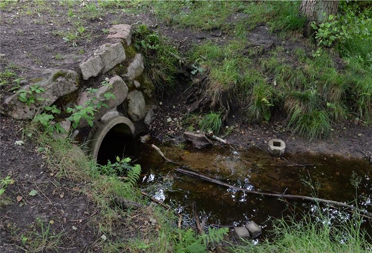 Neues Schild an der Oste-Quelle Ganz unscheinbar auf der Gemarkungsgrenze zwischen den Gemeinden Otter und Tostedt beginnt offiziell die Oste. Anschließend schlängelt sie sich rund 150 Kilometer bis zur Mündung in Balje.