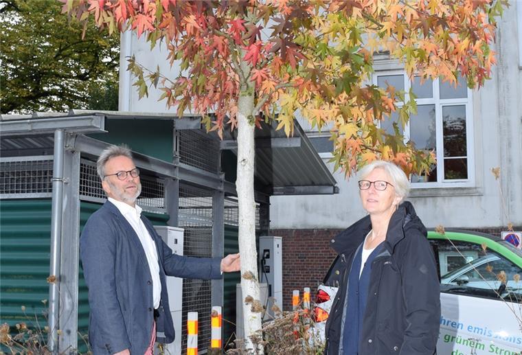 Bremerhaven: Bis zu 1000 Bäume sind notwendig Gartenbauamtsleiter Thomas Reinicke und Landschaftsarchitektin Liselotte Gundermann halten Amberbäume für geeignete Straßenbäume.