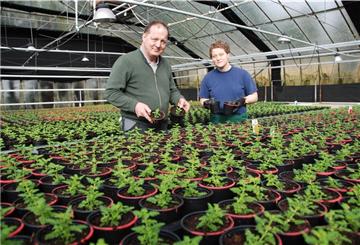 Gartenbaumeister Uwe Ablaß und seine Tochter Katja kultivieren in den betriebseigenen Gewächshäusern in Debstedt unter anderem Verbenen mit dem torfreduzierten Substrat.