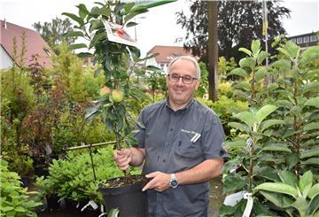 Gartenexperte Michael Meyer rät bei kleinen Gärten zum Säulenapfelbaum. Seine Früchte wachsen direkt am Stamm.