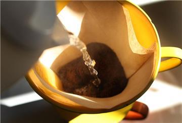 Ein mit Kaffee gefüllter Filter wird mit heißem Wasser übergossen.
