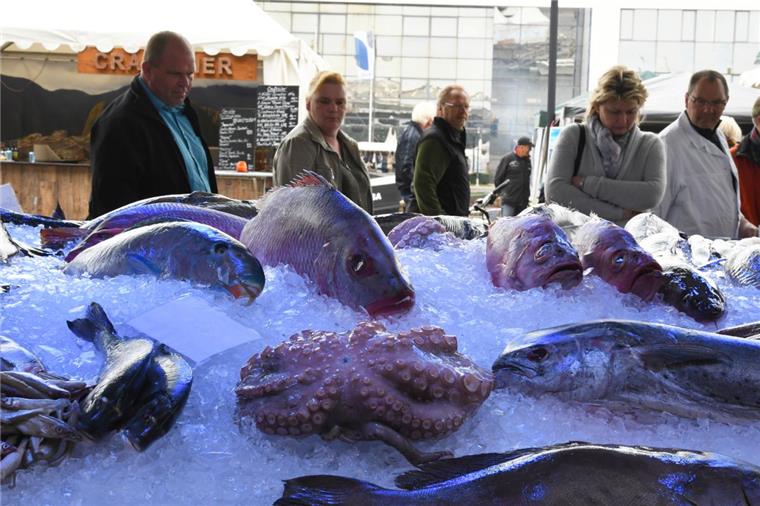 Ab heute feiert Bremerhaven vier Tage lang Fischparty Geeister Fisch und Meeresdelikatessen warten in einem an die Auktionshalle X erinnernden Bereich neben dem Comfort-Hotel auf Besucher.