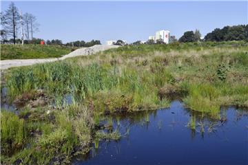 Gegenüber der Tunneltrasse am Eichenweg vernässt die Stadt das augetrocknete Bredenmoor wieder neu. Schon jetzt füllen sich erste Senken mit Regenwasser, Frösche und Libellen haben es schon entdeckt.
