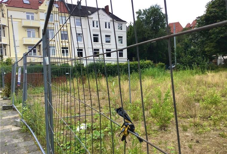 Das brachliegende Gelände der ehemaligen Michaeliskita.