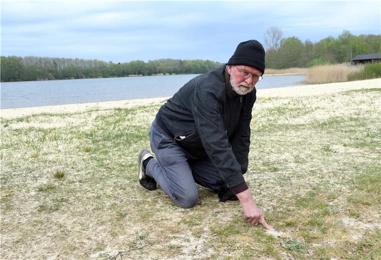 Sandbienen nisten am Stoteler See Gerd Filbrich hat am Stoteler See Sandbienen entdeckt.