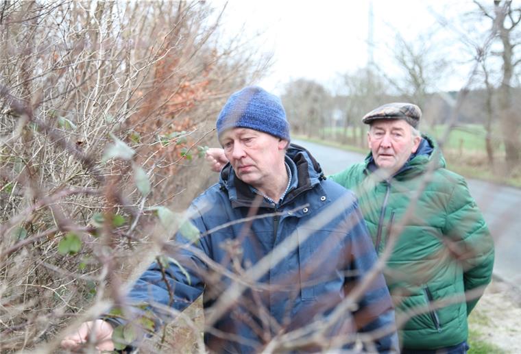 Im Einsatz für die Wallhecken im Cuxland Gerd Hillmann aus Freldsdorf und Fritz Beinker von der Norddeutschen Landschaftspflegeschule in Geestenseth setzen sich für Wallhecken ein.