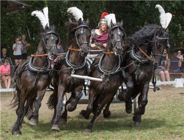 Gerd Kelterborn ließ mit seiner vierspännigen Friesen-Quadriga den Boden auf dem Platz beben. Das Publikum war begeistert.  