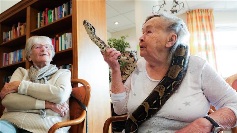 Gerda Hachmann (95) streichelt die um ihre Schultern gelegte Boa Constrictor Lilly im Seniorenzentrum Barsbüttel.