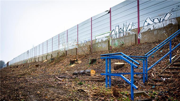 Südschnellweg-Ausbau: Bündnis steigt aus Expertengruppe aus Gerodet ist eine Fläche unterhalb vom Südschnellweg.