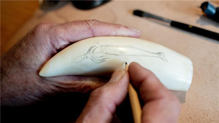 Gert Rosenbohm aus Brake beherrscht die Gravurtechnik Scrimshaw.