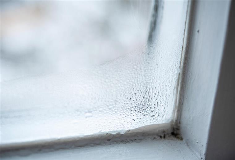 Das kann schimmeln: Tipps gegen Kondenswasser am Fenster Zum Themendienst-Bericht vom 8. Februar 2021: Ein Paradies für Schimmelpilze: Bildet sich am Fenster Kondenswasser, beträgt die Luftfeuchtigkeit in dem Mikroklima dort schon 100 Prozent.