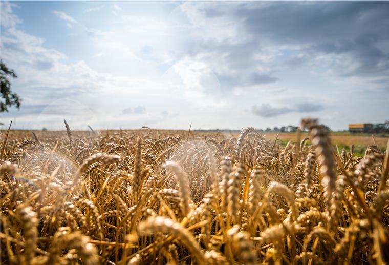 Getreide ist derzeit in aller Munde. Die Landwirtschaft und ihre zukünftige Ausrichtung spielen natürlich auch eine Rolle in der neuen Serie „Land im Wandel“.