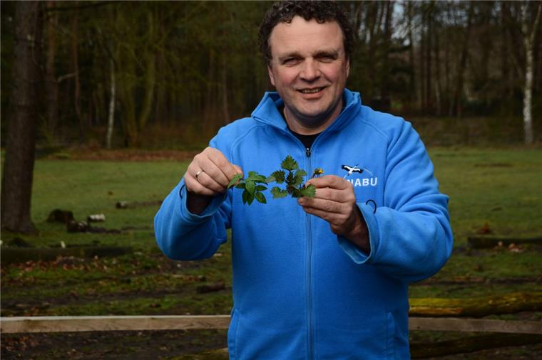 Dieser Cuxländer weiß, warum Unkraut lecker und gesund ist Giersch, Brennnessel oder Löwenzahn – in Sönke Hofmanns Garten finden sich zahlreiche leckere Sorten von Unkraut.