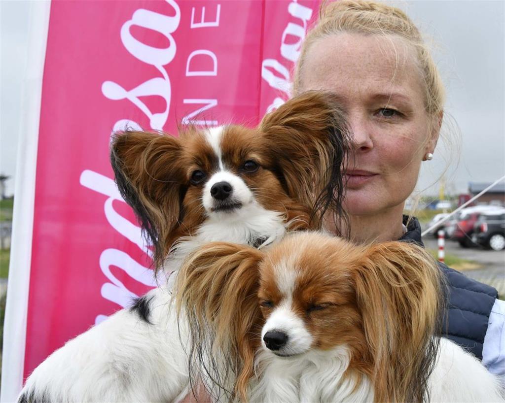 Gitta Dierksen vom Hundesalon am Altendeich schaut genauso verschmitzt in die Ka...