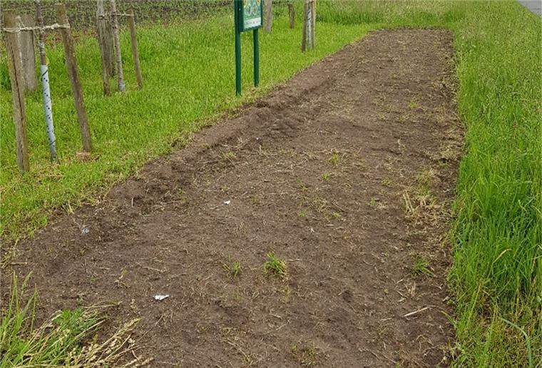 Bürger denken an Futter für die Insekten Das Bild zeigt einen frisch angelegten Blühstreifen