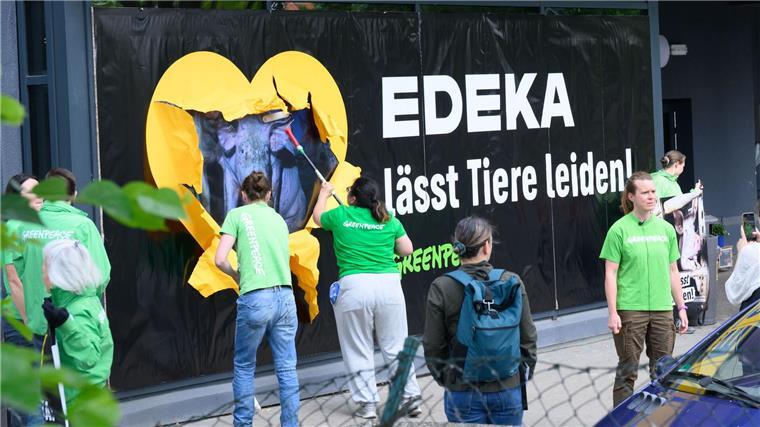 Protestaktion: Greenpeace wirft Edeka Tierleid vor Greenpeace-Aktivisten kleben Protestplakate gegen Tierleid an die Scheiben eines Edeka-Markts.