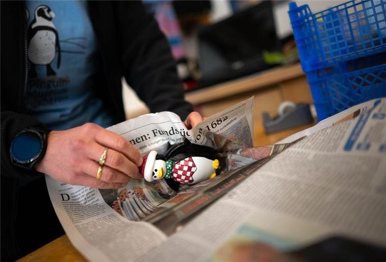 Letzte Chance: Pinguin-Museum Cuxhaven schließt Greift zu bevor es zu spät ist.