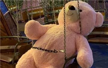 Große Aufregung um diesen großen Teddybären auf dem Bremerhavener Weihnachtsmarkt.