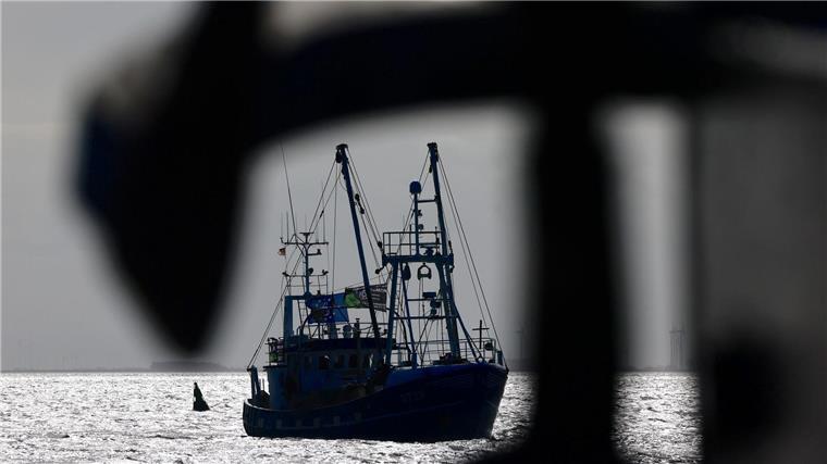 Grundschleppnetze sind Fanggeräte, die für das Fischen am Meeresboden oder in Bodennähe konzipiert sind. (Symbolbild)