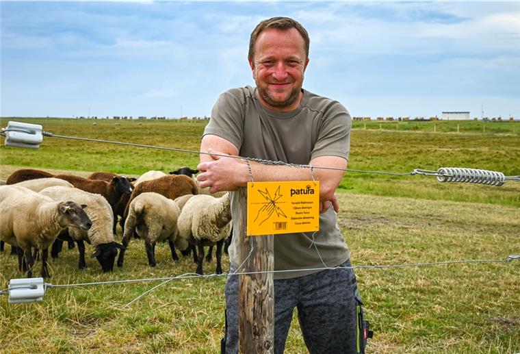 Herdenschutz: Was Tierhalter sich wünschen Gut behütet: Uwe Steffens´ Schafweide in Dorum-Neufeld ist nun durch einen Elektrozaun geschützt.