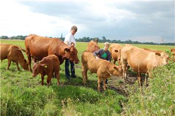 Hagen Hasselbring (links) und Sohn Leif (rechts) vom Bio-Hof Mühlenberg besuchen ihre Angus-Rinder, die im Sommer auf den saftigen Weiden in der Osterstader Marsch grasen. Acht Monate bleiben die Kälber bei den Muttertieren.