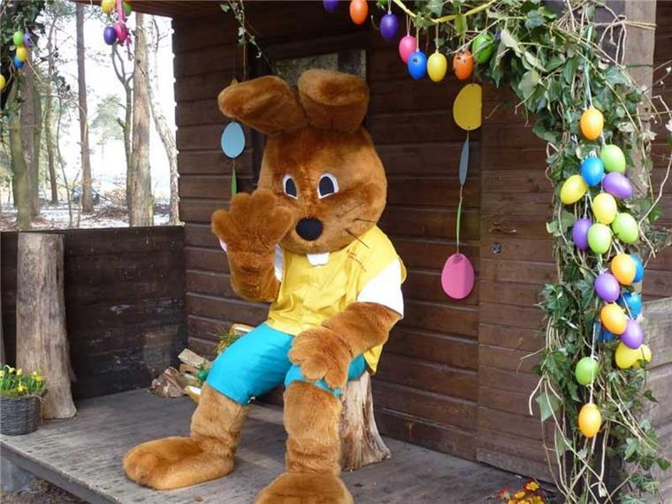 Ostereistedt: Hanni Hase versteckt 200 Oster-Nester Hanni Hase freut sich auf 200 Kinder, die am Ostersonntag mit Eltern und Großeltern nach Ostereistedt in den Hasenwald kommen.